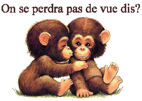 on se perdra de vie dis