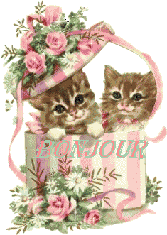 bojou a tout le monde